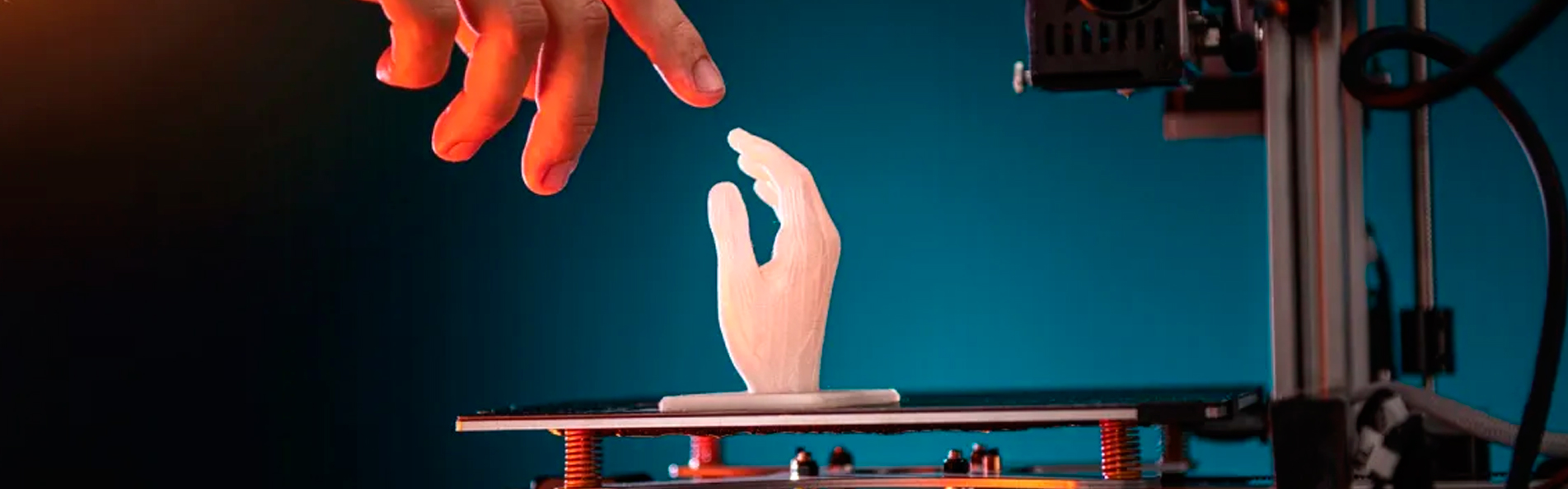 slideshome3656565665